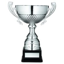 Silver Half Bowl Trophy Cup With Handles | 292mm