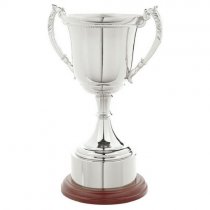 Nickel Plated Trophy Cup with Plinth Band | 350mm |