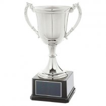 Nickel Plated Trophy Cup on Black Weighted Base | 325mm | B65