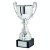 Spitzer Presentation Trophy Cup with Handles | Metal Bowl | 325mm | B53 - 367A