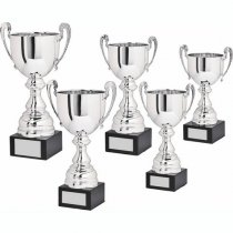 Spitzer Presentation Trophy Cup with Handles | Metal Bowl | 325mm | B53