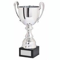 Spitzer Presentation Trophy Cup with Handles | Metal Bowl | 310mm | B52