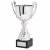 Spitzer Presentation Trophy Cup with Handles | Metal Bowl | 310mm | B52 - 367B