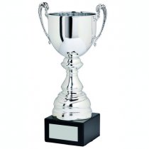 Spitzer Presentation Trophy Cup with Handles | Metal Bowl | 285mm | B52