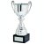 Spitzer Presentation Trophy Cup with Handles | Metal Bowl | 285mm | B52 - 367C