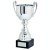 Spitzer Presentation Trophy Cup with Handles | Metal Bowl | 260mm | B66 - 367D