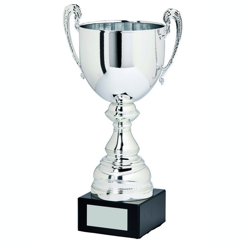 Spitzer Presentation Trophy Cup with Handles | Metal Bowl | 260mm | B66