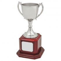 Nickel Plated Trophy Cup on Wood Base | 300mm | T.7563