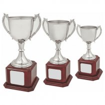 Nickel Plated Trophy Cup on Wood Base | 300mm | T.7563