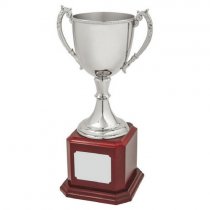 Nickel Plated Trophy Cup on Wood Base | 365mm | T.7564