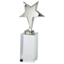 Dallas Crystal & Chrome Trophy | 205mm | S25
