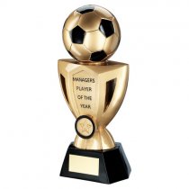 Stadium Football Trophy | Managers Player | 254mm |