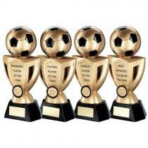 Stadium Football Trophy | Managers Player | 254mm |