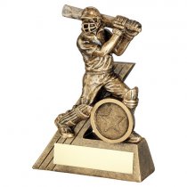 Micro Cricket Batsman Trophy | 102mm |