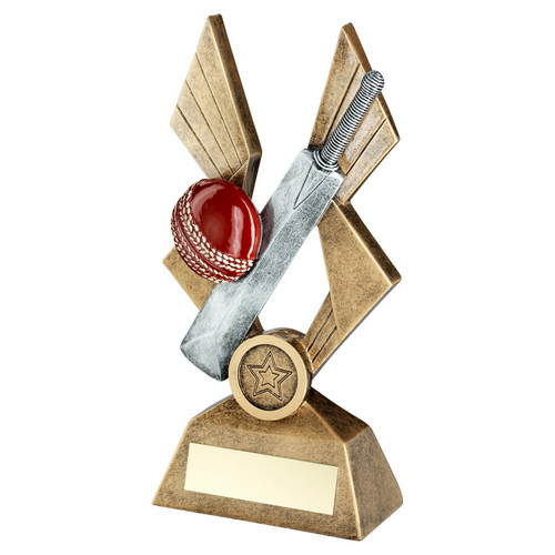 Nike Cricket Trophy | 203mm |