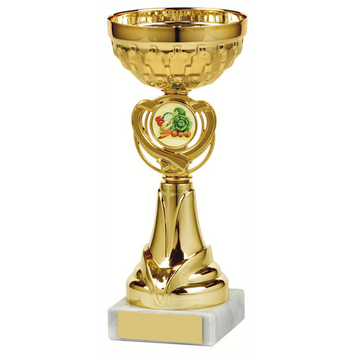 Foxie Gold Bowl Trophy | Metal Bowl | 185mm | G7