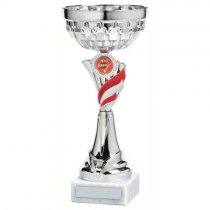 Foxie Silver& Red Bowl Trophy | Metal Bowl | 270mm | S49