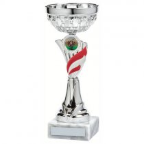 Foxie Silver& Red Bowl Trophy | Metal Bowl | 245mm | S49