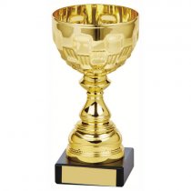 Ely Gold Bowl Trophy | Metal Bowl | 160mm | G7