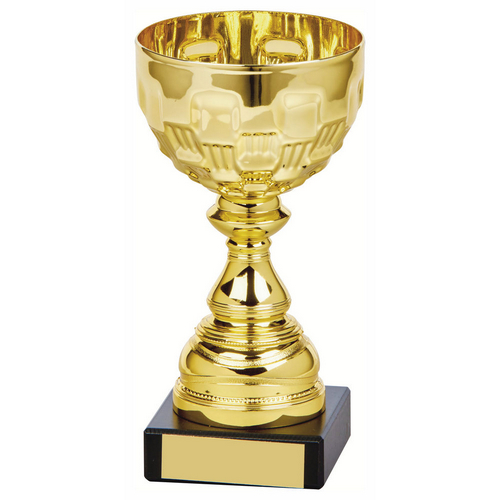 Ely Gold Bowl Trophy | Metal Bowl | 160mm | G7