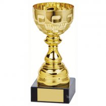 Ely Gold Bowl Trophy | Metal Bowl | 185mm | G24