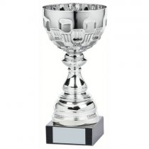 Ely Silver Bowl Trophy | Metal Bowl | 210mm | S24