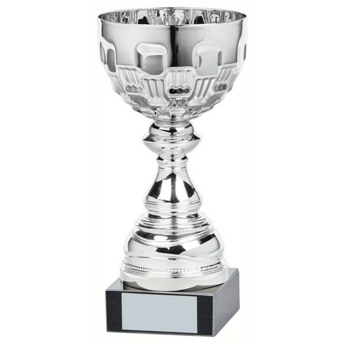 Ely Silver Bowl Trophy | Metal Bowl | 210mm | S24