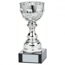 Ely Silver Bowl Trophy | Metal Bowl | 185mm | S24