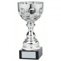 Ely Silver Bowl Trophy | Metal Bowl | 250mm | S31