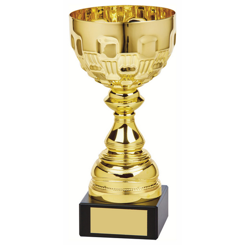 Ely Gold Bowl Trophy | Metal Bowl | 250mm | G58