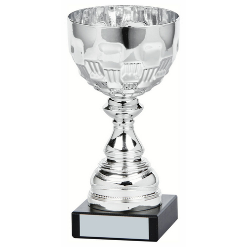 Ely Silver Bowl Trophy | Metal Bowl | 160mm | S7