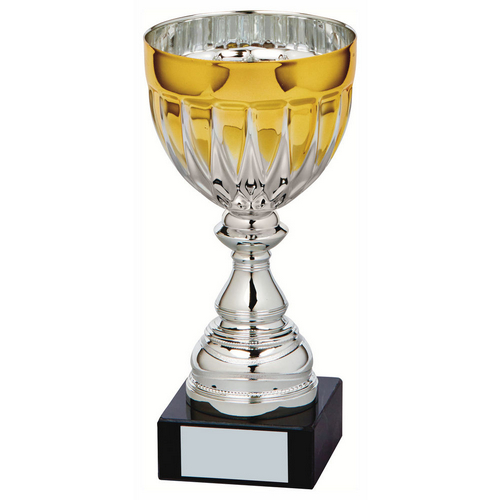 Jet Silver & Gold Bowl Trophy | Metal Bowl | 210mm | S24