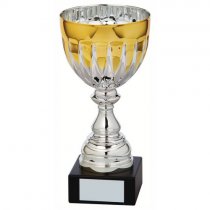 Jet Silver & Gold Bowl Trophy | Metal Bowl | 250mm | S31