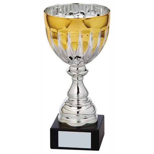 Jet Silver & Gold Bowl Trophy | Metal Bowl | 250mm | S31