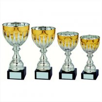 Jet Silver & Gold Bowl Trophy | Metal Bowl | 250mm | S31