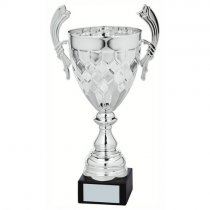 Petal Silver Presentation Trophy Cup With Handles | Metal Bowl | 330mm | S24