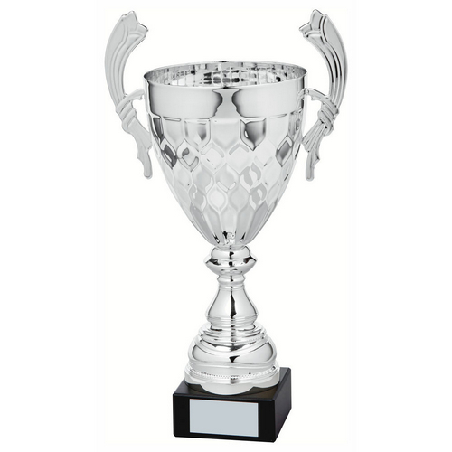 Petal Silver Presentation Trophy Cup With Handles | Metal Bowl | 370mm | S31