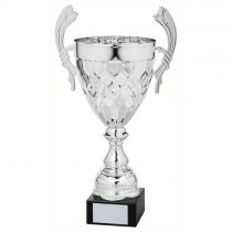 Petal Silver Presentation Trophy Cup With Handles | Metal Bowl | 430mm | S52