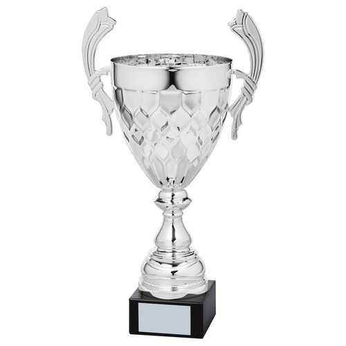 Petal Silver Presentation Trophy Cup With Handles | Metal Bowl | 430mm | S52