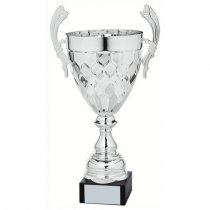 Petal Silver Presentation Trophy Cup With Handles | Metal Bowl | 460mm | T.3187