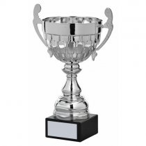 Thor Silver Presentation Trophy Cup | Metal Bowl | 265mm | S31