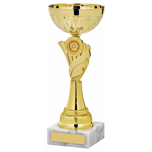 Trident Gold Bowl Trophy | Metal Bowl | 245mm | G49