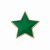 Scholar Pin Badge Star Green | 20mm |  - SB16125G