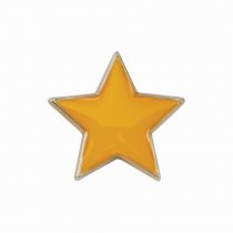 Scholar Pin Badge Star Yellow | 20mm |