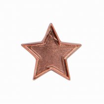 Scholar Pin Badge Star Bronze | 20mm |