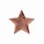 Scholar Pin Badge Star Bronze | 20mm |  - SB16126B