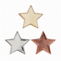 Scholar Pin Badge Star Bronze | 20mm |