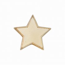 Scholar Pin Badge Star Gold | 20mm |