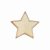 Scholar Pin Badge Star Gold | 20mm |  - SB16126G