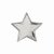 Scholar Pin Badge Star Silver | 20mm |  - SB16126S